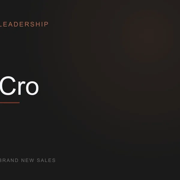 Image related to van verkoopdirecteur naar chief revenue officer: de transformatie van sales leadership