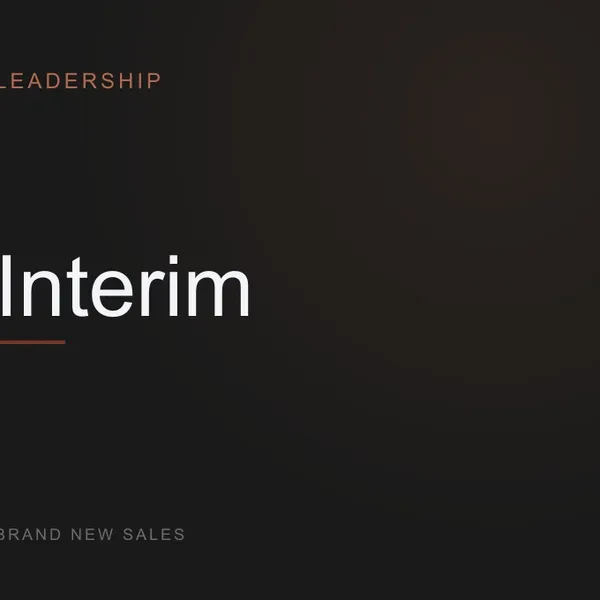 Image related to wanneer huur je een interim commercieel directeur in? de eerlijke beslisboom