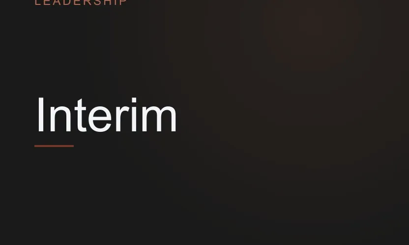Wanneer een interim verkoopdirecteur de beste investering is